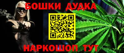прущие крисы Ачхой-Мартан