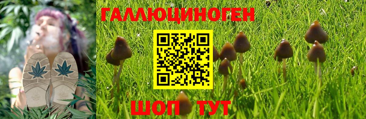 Галлюциногенные грибы Cubensis Артём