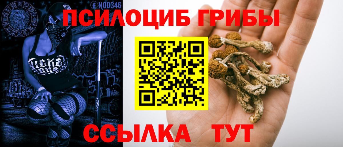 Артём  Галлюциногенные грибы Magic Shrooms  Псилоцибиновые грибы Psilocybe  Вход с VPN 